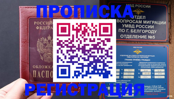прописка в квартире в Мончегорске